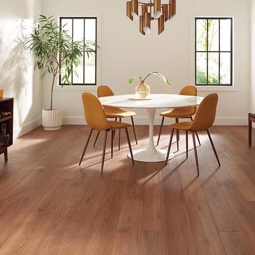 Dining Room Luxury Vinyl Plank LVP -  Aumsbaugh Flooring CarpetsPlus Colortile in  Columbia City, IN